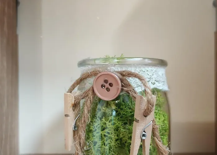 Dream Loft In The Center Of Warna