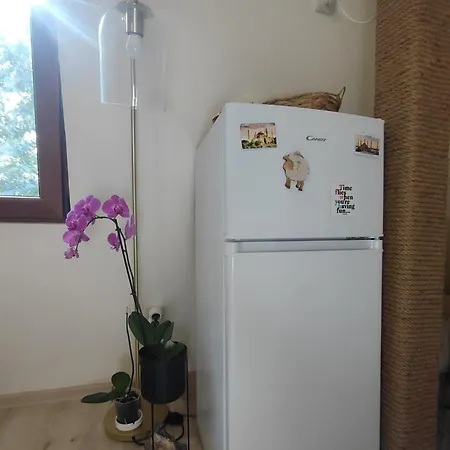 Apartment Dream Loft In The Center Of *